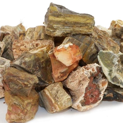 Fossilized and petrified wood Madagascar A (rough stone)