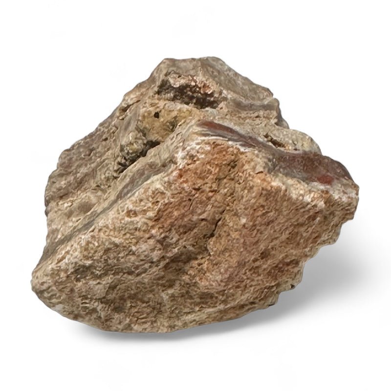 Bois fossilisé et pétrifié Madagascar A (pierre brute) - La Boite à Cailloux