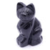 Chat obsidienne noire Mexique A 50mm - La Boite à Cailloux