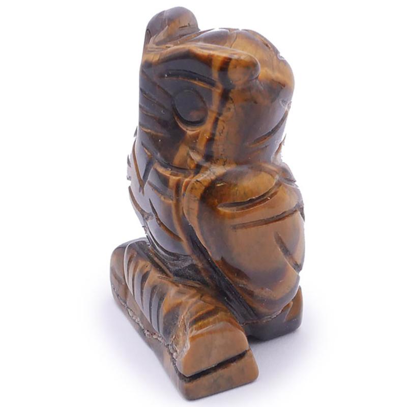 Chouette oeil de tigre Afrique du Sud A 50mm - La Boite à Cailloux