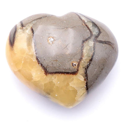 Heart septaria Madagascar A+ 60-70mm