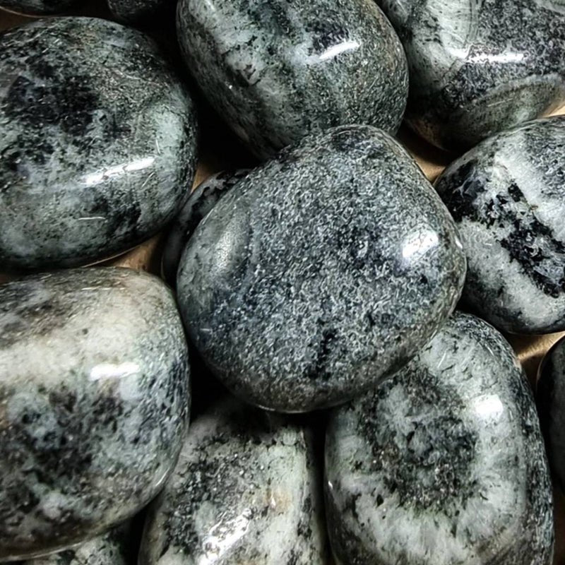 Diorite orbiculaire Corse A (pierre roulée) - La Boite à Cailloux
