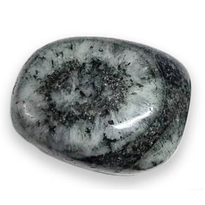 Diorite orbiculaire Corse A (pierre roulée) - La Boite à Cailloux