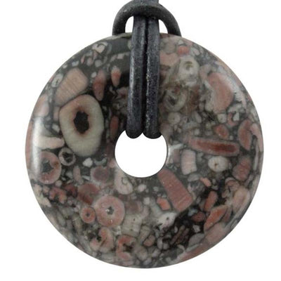 Donut o PI fósil crinoideo chino Brasil A