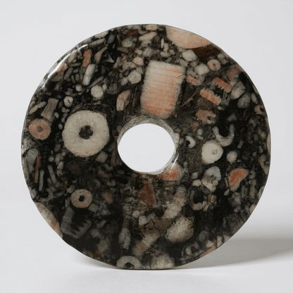 Donut ou PI Chinois fossile crinoide Brésil A - La Boite à Cailloux