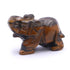 Eléphant oeil de tigre Afrique du Sud A 50mm - La Boite à Cailloux