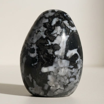 Gabbro (Merlinite mystique) Madagascar forme libre A - 256g - La Boite à Cailloux