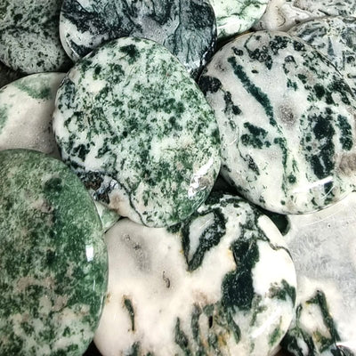 Pebble agate tree Brazil A
