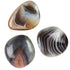 Galet agate Botswana A+ - La Boite à Cailloux