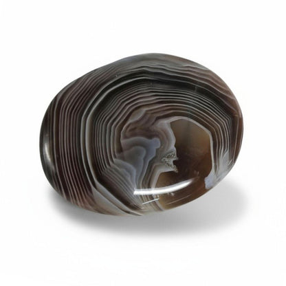 Galet agate Botswana A+ - La Boite à Cailloux
