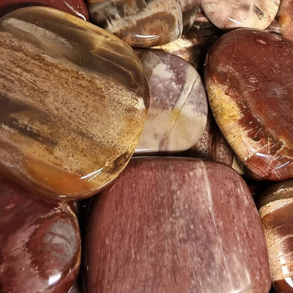 Galet bois fossilisé et pétrifié Brésil A+ - La Boite à Cailloux
