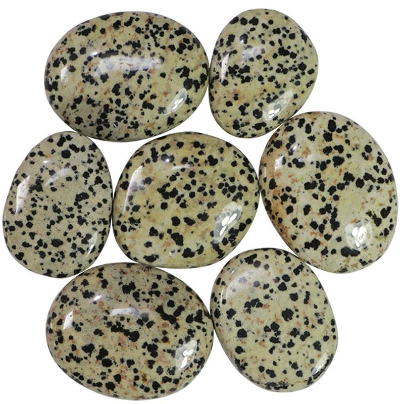 Galet jaspe dalmatien Mexique A - La Boite à Cailloux