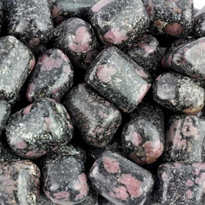 Grenat dans Pyroxénite Inde A+ (pierre roulée) - La Boite à Cailloux