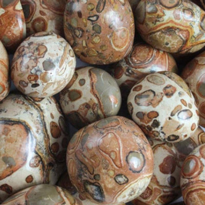 Leopard Jasper Peru A+ (tumbled stone)