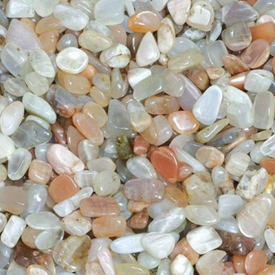 Mixed Moonstone Lot India AAA (mini-tumbled stone XS) - 100g