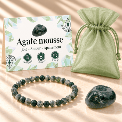 Pack "Jardin intérieur" Agate mousse