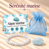 Pack "Sérénité marine" – Aigue-marine Brésil AA - La Boite à Cailloux