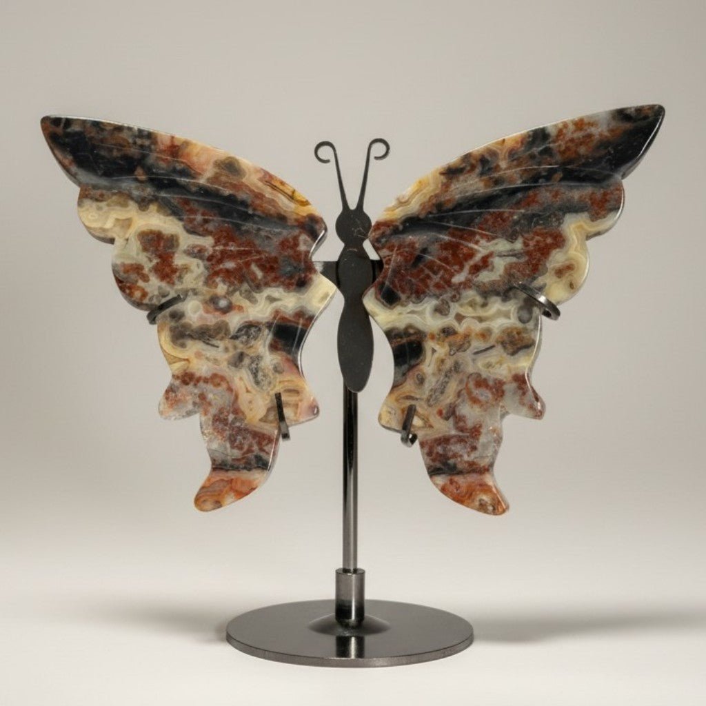 Papillon agate crazy lace Mexique AA sur socle - La Boite à Cailloux