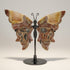 Papillon agate crazy lace Mexique AA sur socle - La Boite à Cailloux