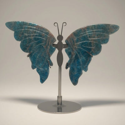 Mariposa de apatito azul de Madagascar AA sobre pedestal