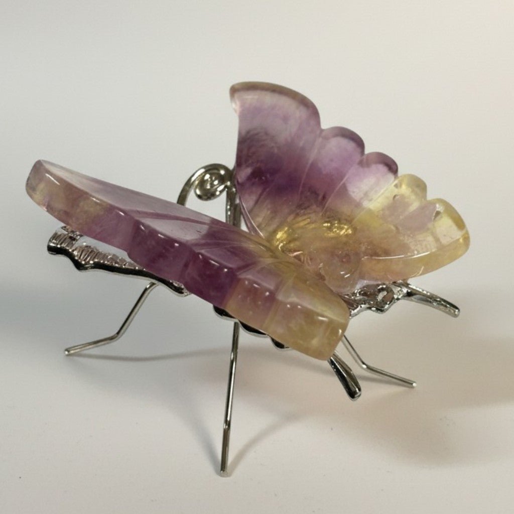 Papillon fluorine multicolore Chine AA - La Boite à Cailloux