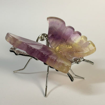 Brazilian grey agate butterfly AA on stand