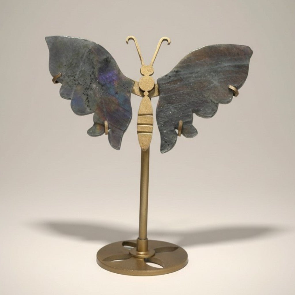 Papillon labradorite Madagascar A sur socle - La Boite à Cailloux