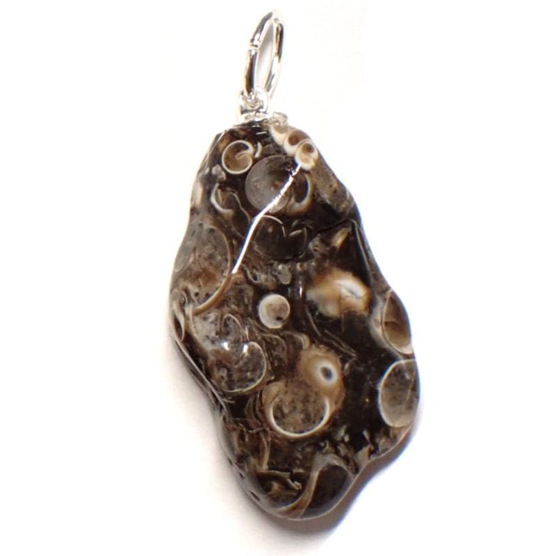 Pendentif agate turitella Etats - Unis A (pierre roulée) - La Boite à Cailloux