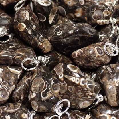 Pendentif agate turitella Etats - Unis A (pierre roulée) - La Boite à Cailloux