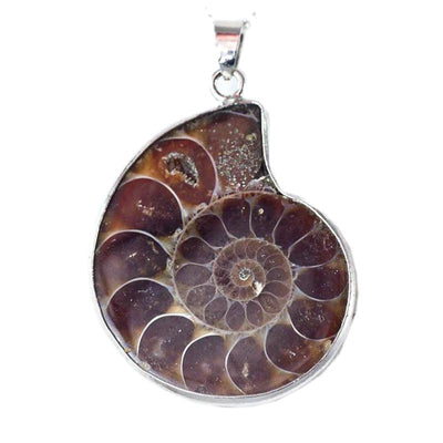 Pendentif ammonite Madagascar A