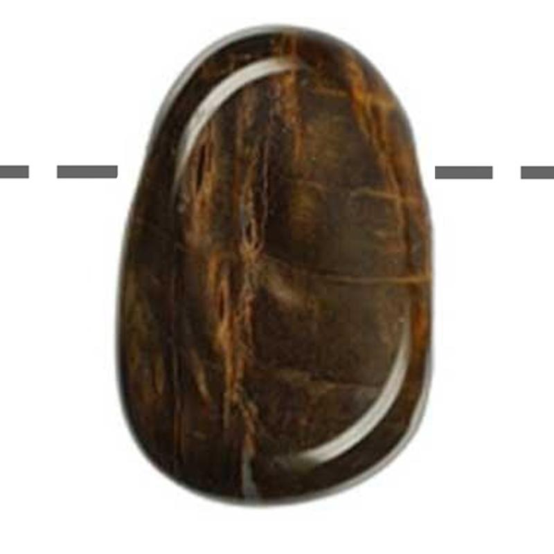 Pendentif bois fossilisé ou pétrifié Etats - Unis A (pierre trouée) + cordon - La Boite à Cailloux