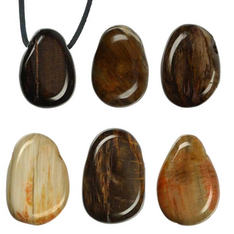 Pendentif bois fossilisé ou pétrifié Etats - Unis A (pierre trouée) + cordon - La Boite à Cailloux