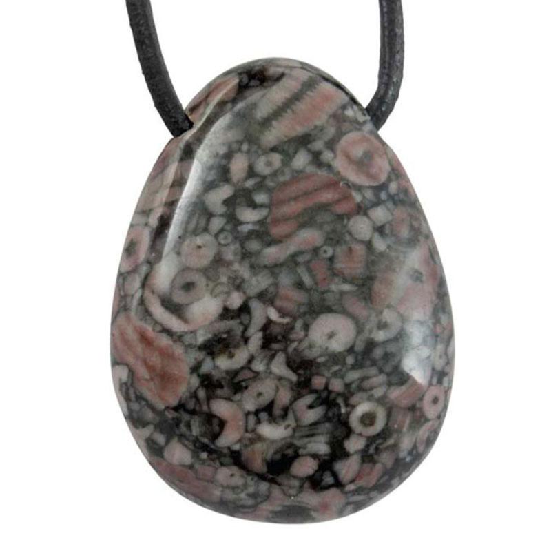 Pendentif crinoide Brésil A (pierre trouée) + cordon - La Boite à Cailloux