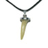 Pendentif dent de requin fossilisée + cordon - La Boite à Cailloux