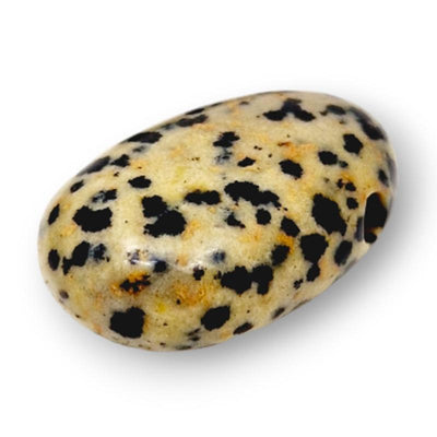 Colgante jaspe dálmata México A (piedra agujereada) + cordón