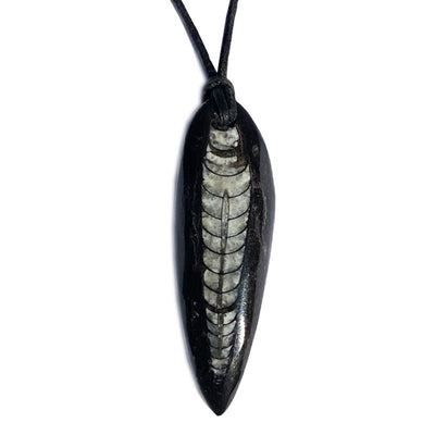 Pendentif orthocère Maroc A + cordon