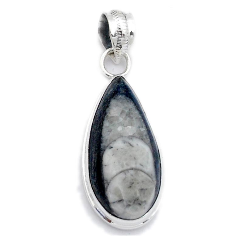 Pendentif orthocère Maroc AAA argent 925 - La Boite à Cailloux