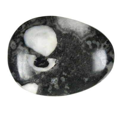 Fossil jasper thumb stone Madagascar A