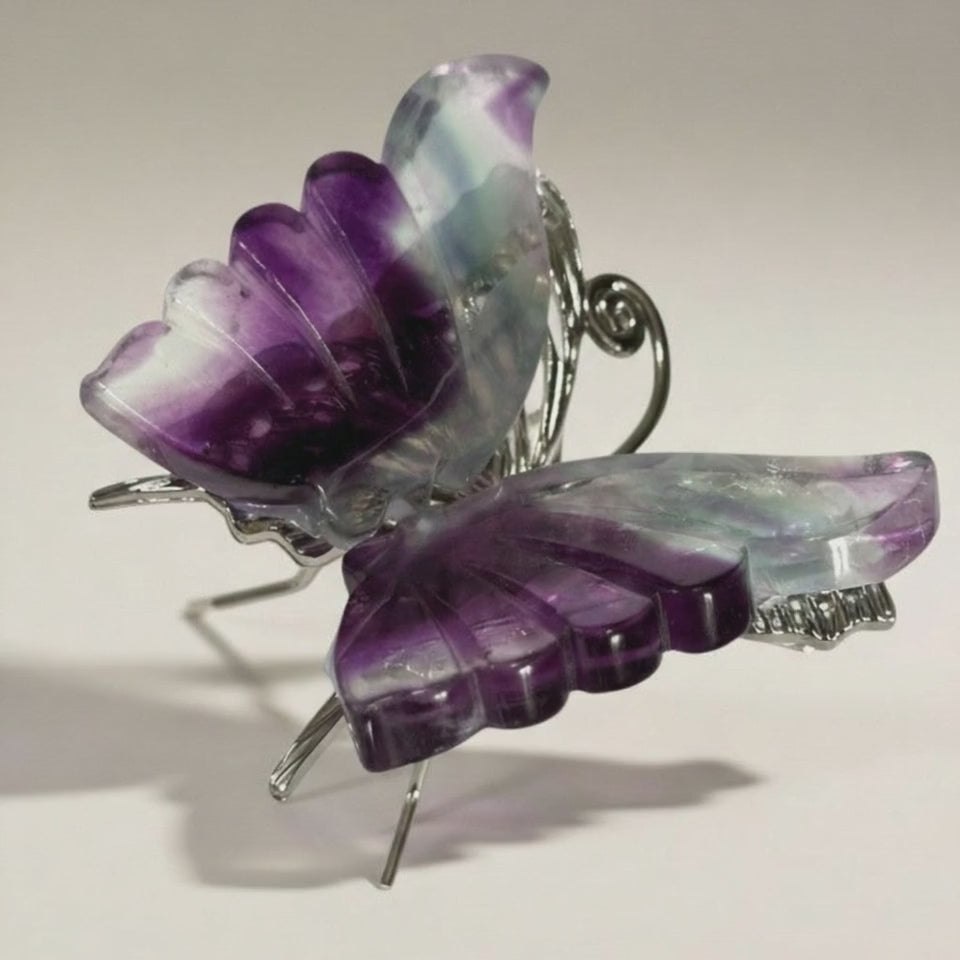 Papillon fluorine multicolore Chine AA