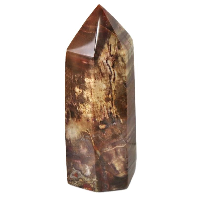 Prisme bois fossilisé Madagascar AA - 60 - 80mm - La Boite à Cailloux