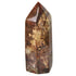 Prisme bois fossilisé Madagascar AA - 60 - 80mm - La Boite à Cailloux