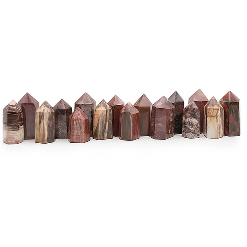 Prisme bois fossilisé Madagascar AA - 60 - 80mm - La Boite à Cailloux