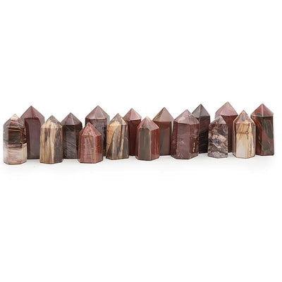 Fossilized wood prism Madagascar AA - 60-80mm