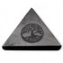 Pyramide shungite Russie AA arbre de vie (50mm) - La Boite à Cailloux
