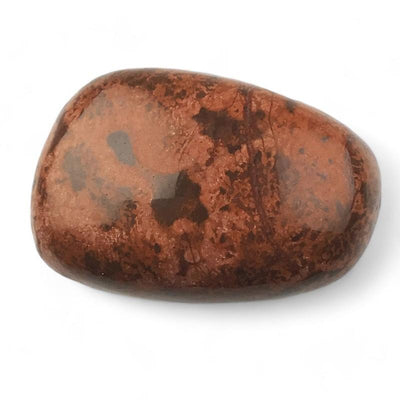 Rhyolite étoilée Inde AA (pierre roulée)
