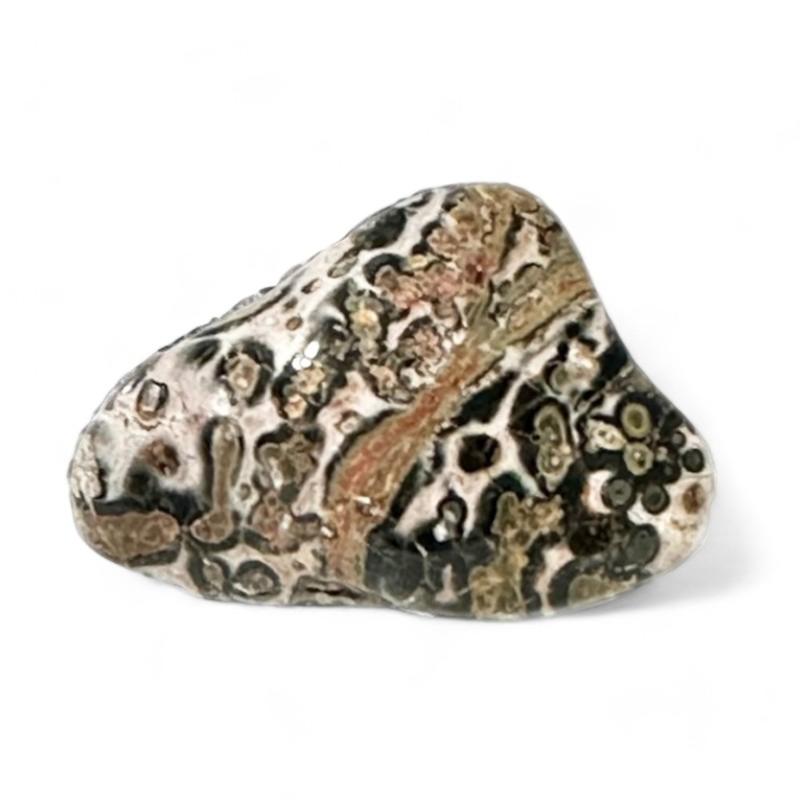 Rhyolite fleur Brésil A (pierre roulée) - La Boite à Cailloux
