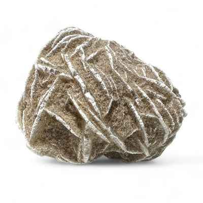 Rose des sables brute Mexique A