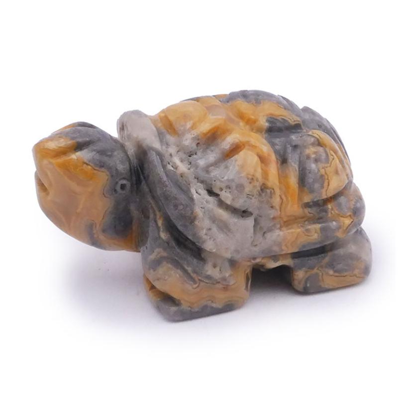 Tortue agate crazy lace Mexique A 50mm - La Boite à Cailloux