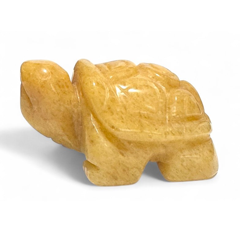 Tortue aventurine jaune Brésil A 50mm - La Boite à Cailloux