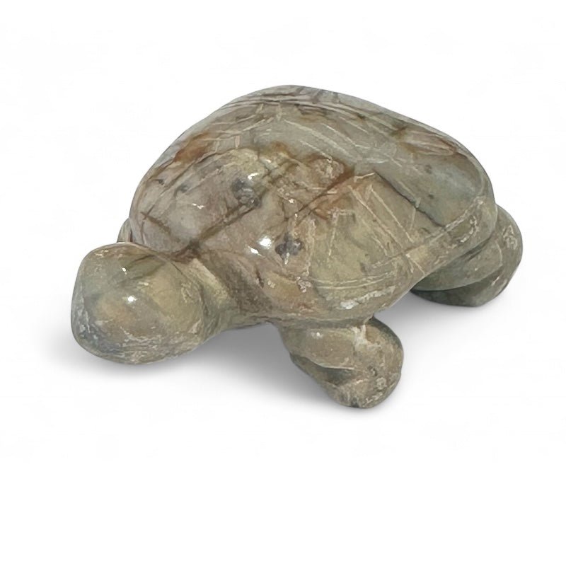 Tortue jaspe marbre Picasso Etats - Unis A 40 - 45mm - La Boite à Cailloux